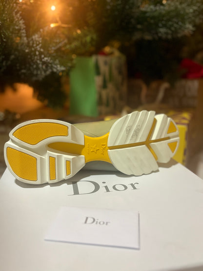 Dior sneakers