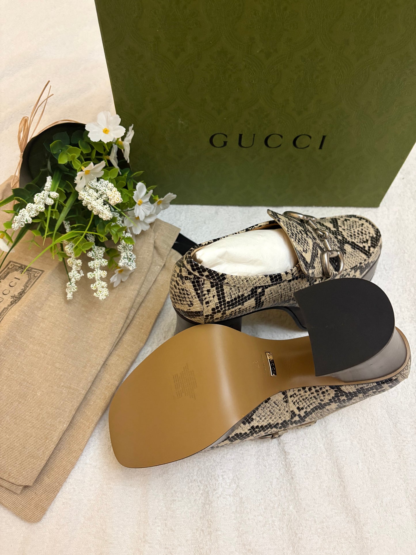 Gucci in pitone