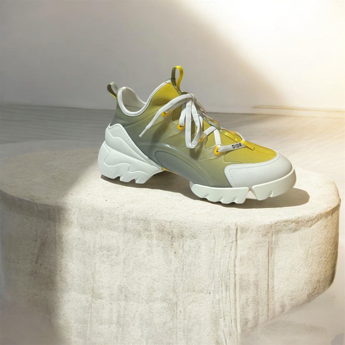 Dior sneakers