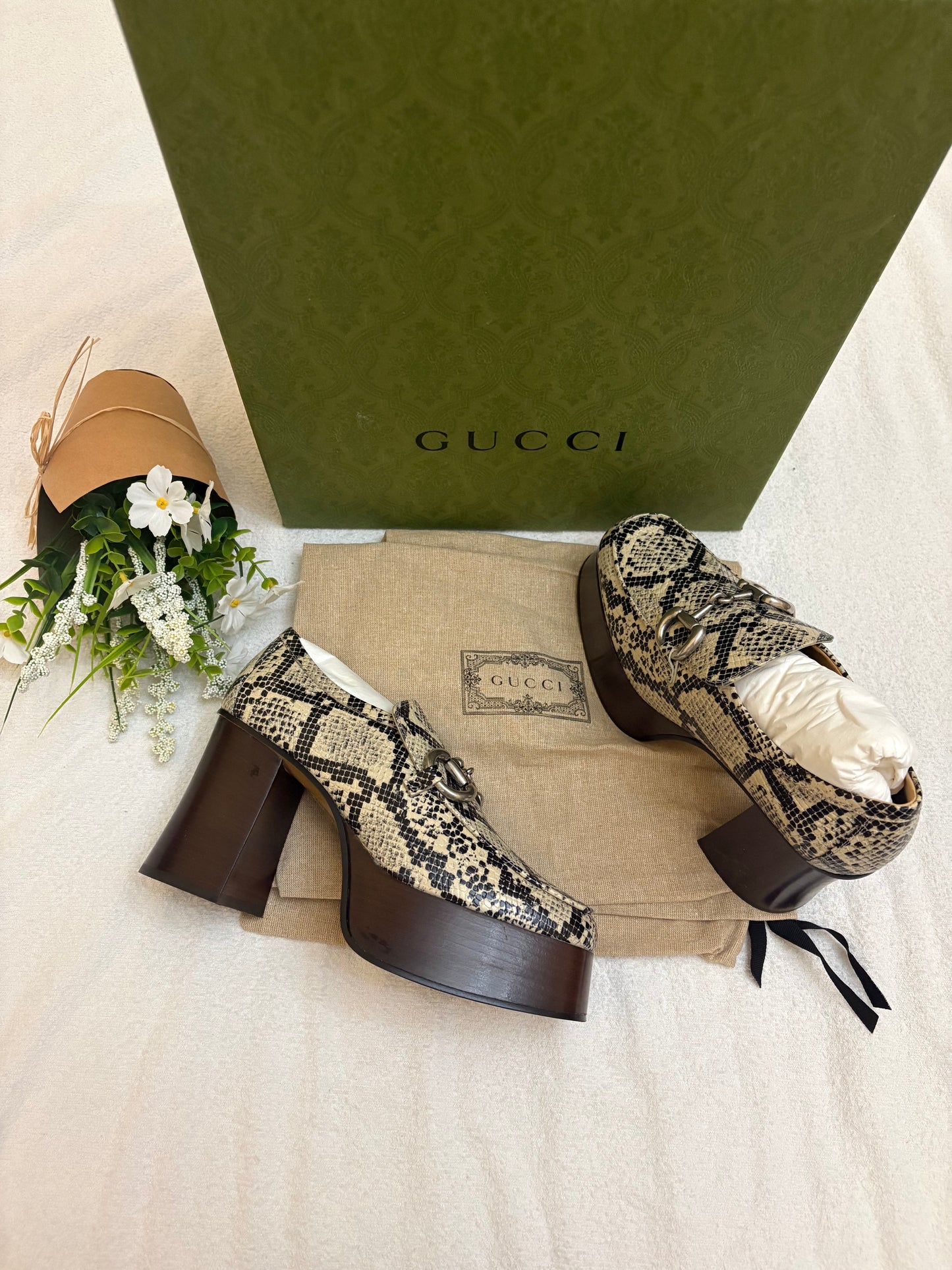 Gucci in pitone