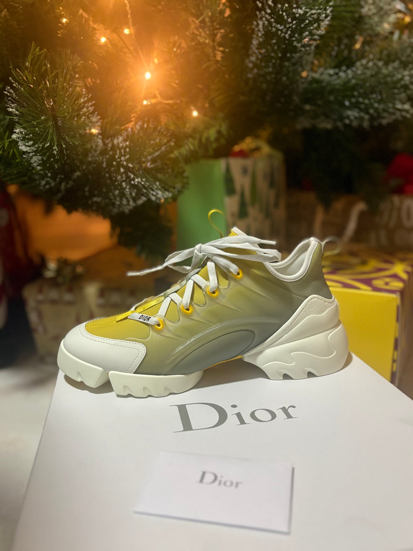 Dior sneakers