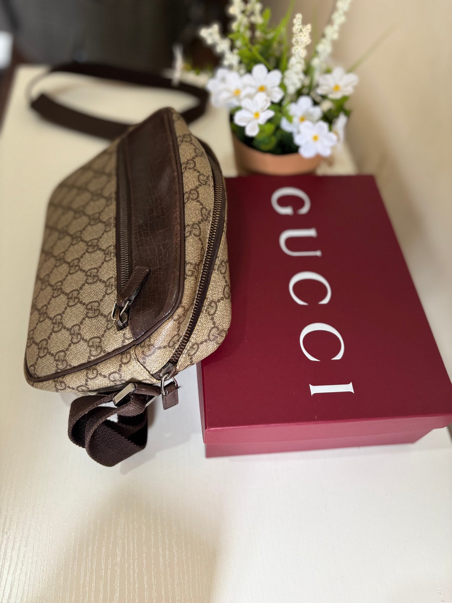Gucci tracolla ophidia