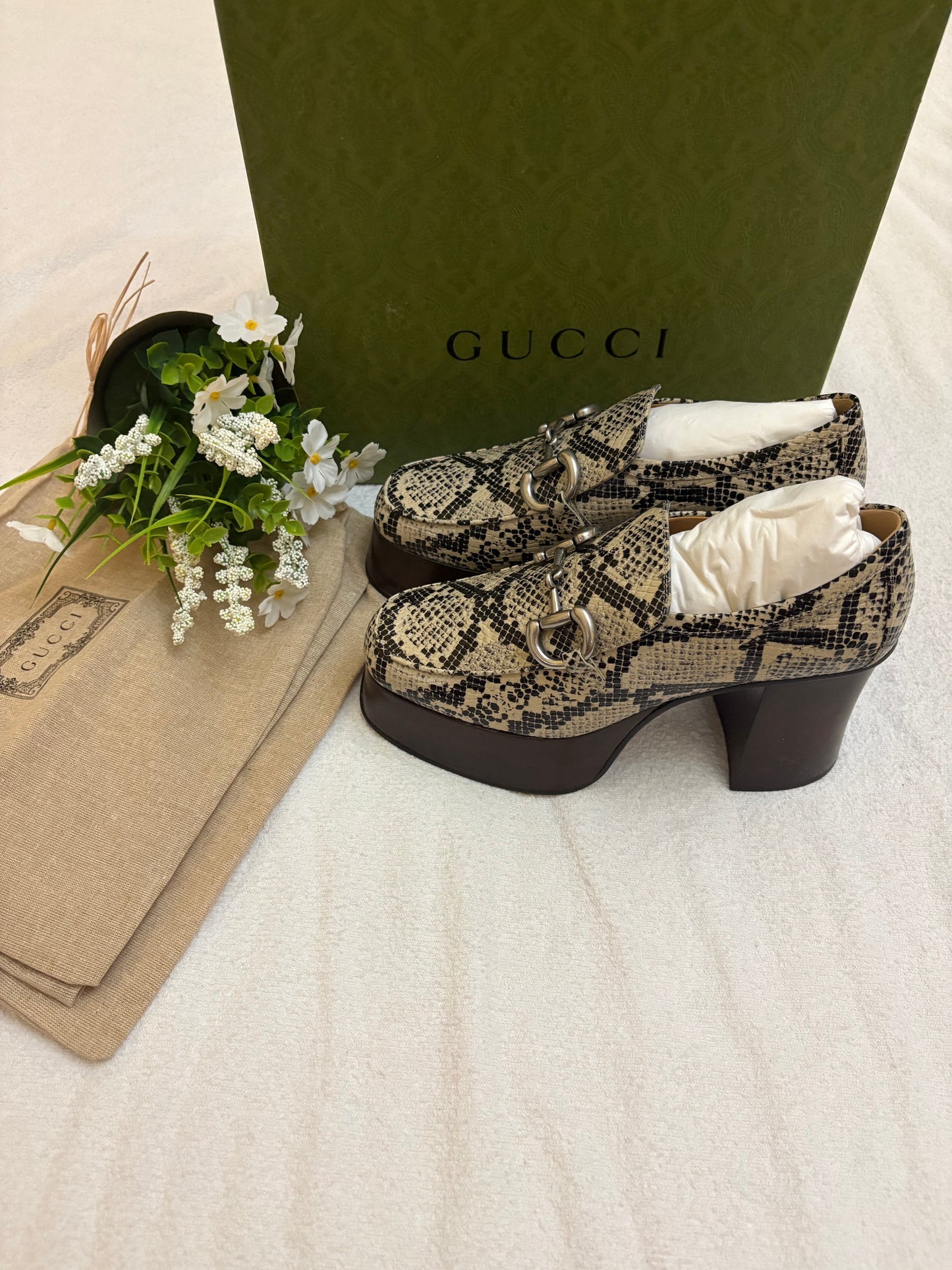 Gucci in pitone