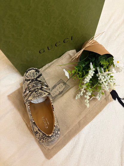 Gucci in pitone